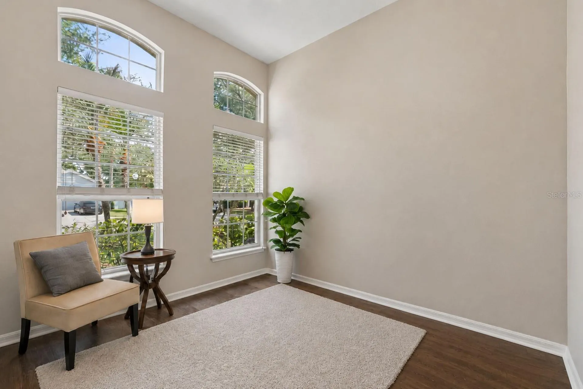 10243 Shadow Branch Drive Tampa FL 33647