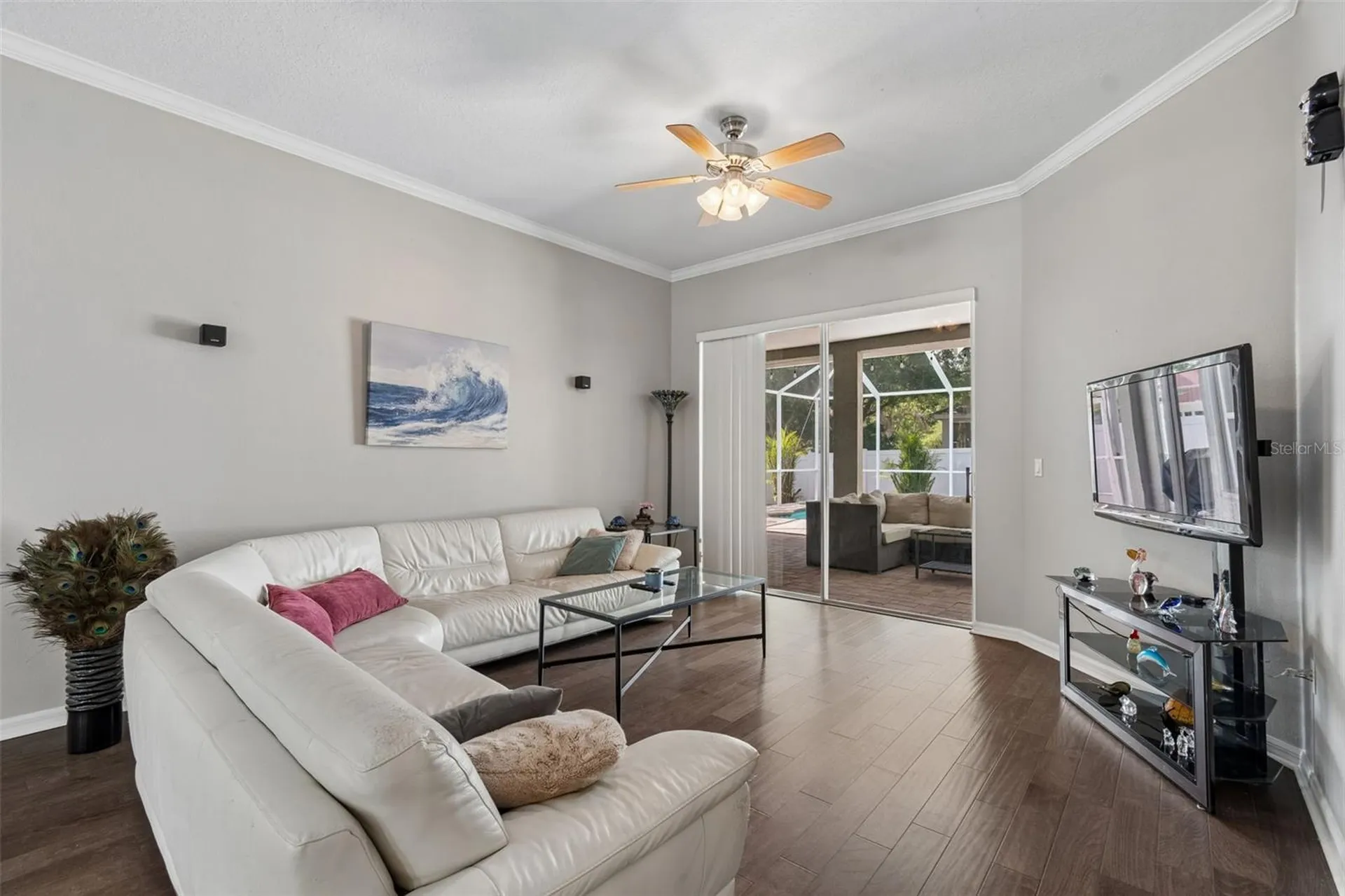 10243 Shadow Branch Drive Tampa FL 33647