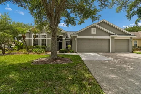 10243 Shadow Branch Drive Tampa FL 33647