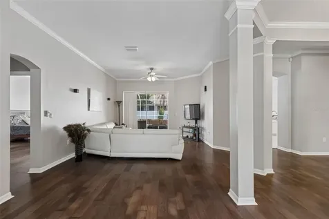 10243 Shadow Branch Drive Tampa FL 33647