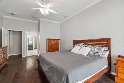 10243 Shadow Branch Drive Tampa FL 33647