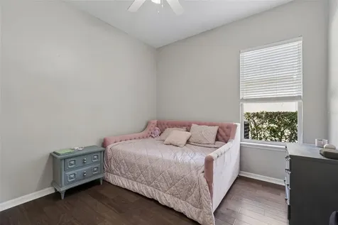 10243 Shadow Branch Drive Tampa FL 33647