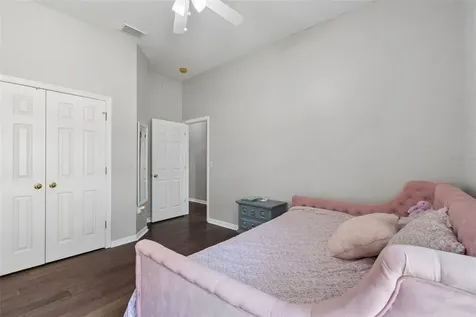 10243 Shadow Branch Drive Tampa FL 33647