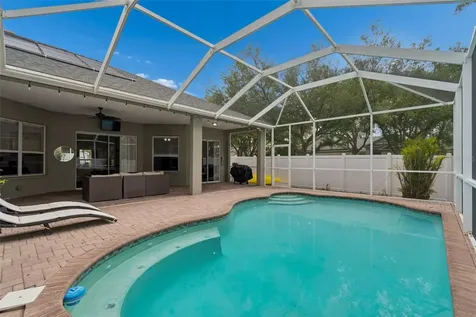 10243 Shadow Branch Drive Tampa FL 33647