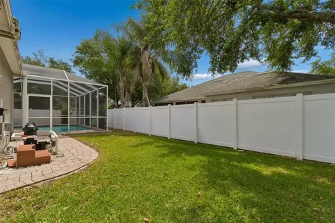 10243 Shadow Branch Drive Tampa FL 33647