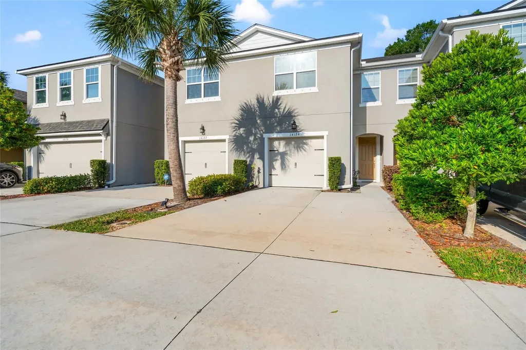 14124 Damselfly Drive Tampa FL 33625