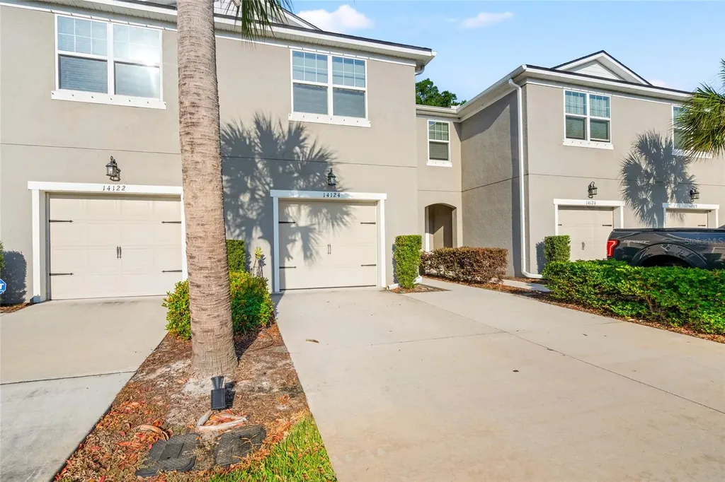 14124 Damselfly Drive Tampa FL 33625