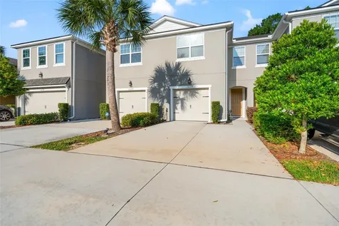 14124 Damselfly Drive Tampa FL 33625