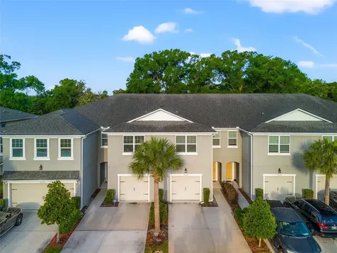 14124 Damselfly Drive Tampa FL 33625