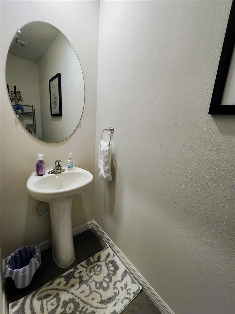 3247 Pleasant Willow Court Brandon FL 33511
