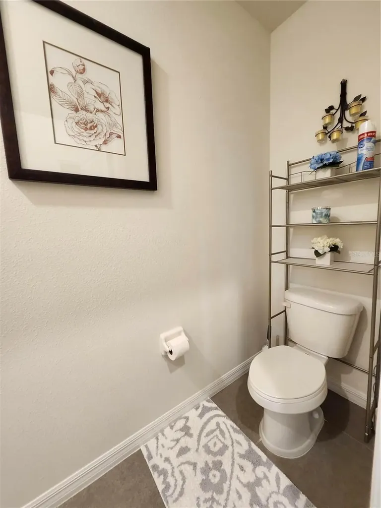 3247 Pleasant Willow Court Brandon FL 33511