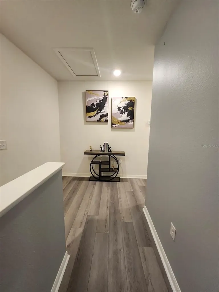 3247 Pleasant Willow Court Brandon FL 33511