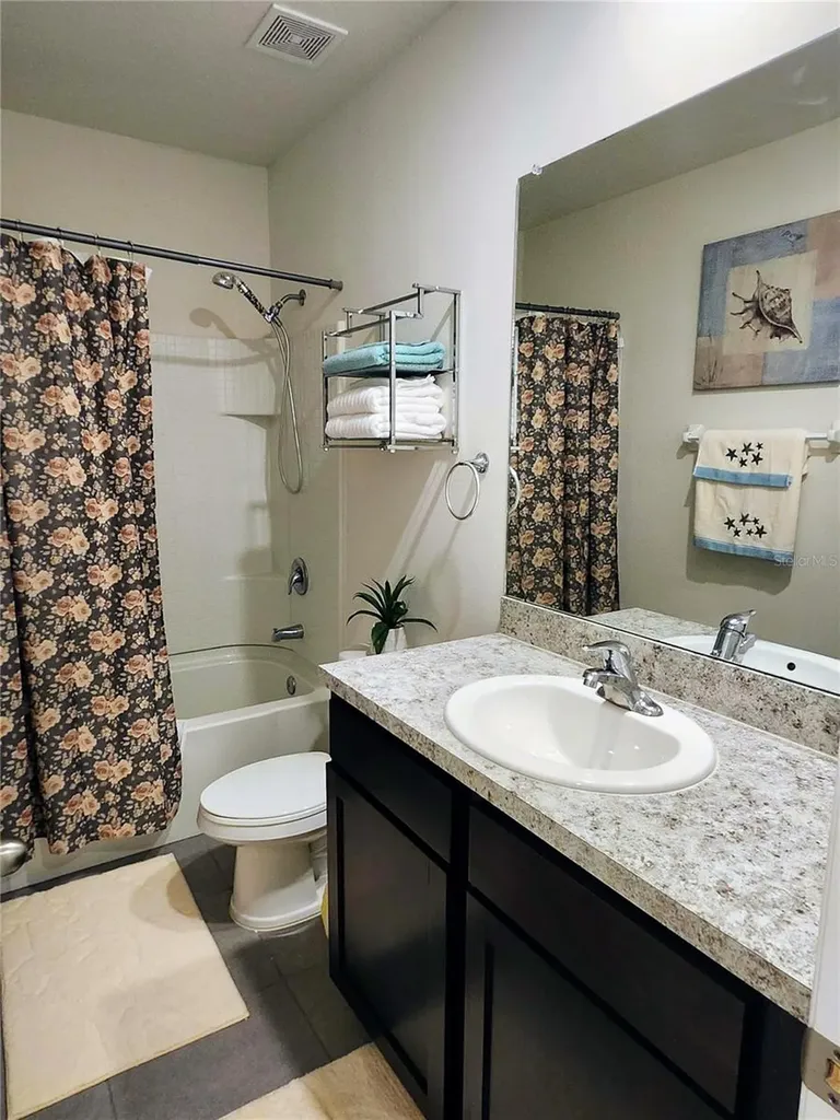 3247 Pleasant Willow Court Brandon FL 33511