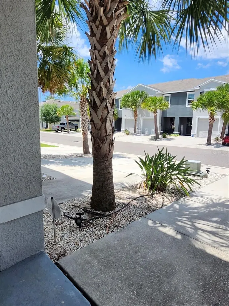 3247 Pleasant Willow Court Brandon FL 33511