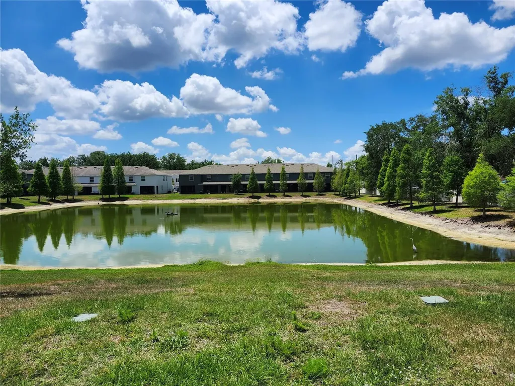 3247 Pleasant Willow Court Brandon FL 33511