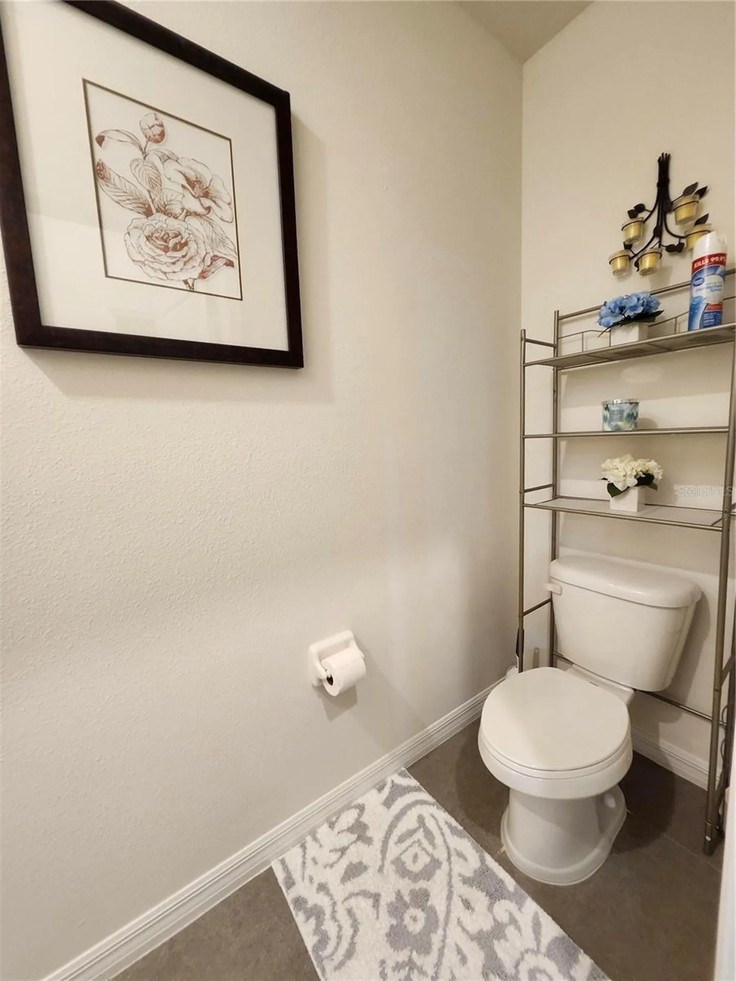 3247 Pleasant Willow Court Brandon FL 33511