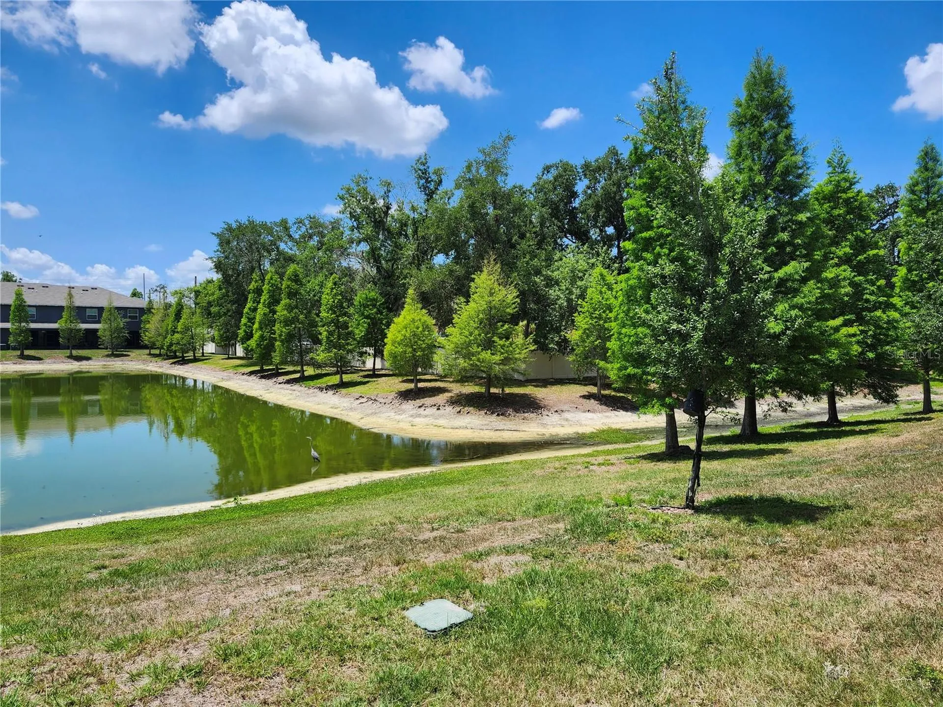 3247 Pleasant Willow Court Brandon FL 33511
