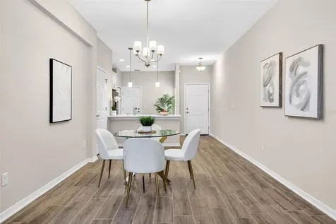 2464 Stapleford Place Wesley Chapel FL 33543
