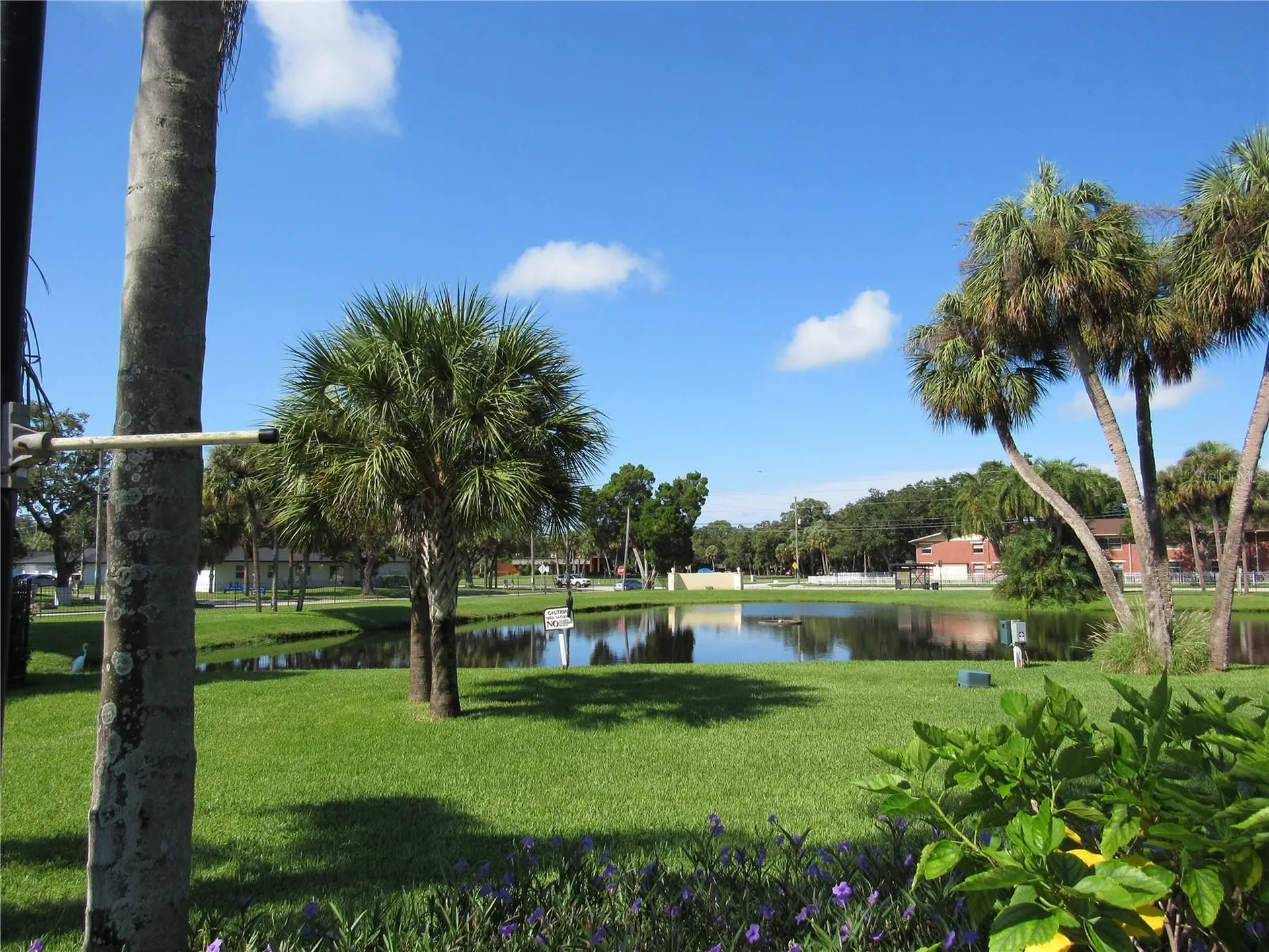 3001 58th Avenue S St Petersburg FL 33712