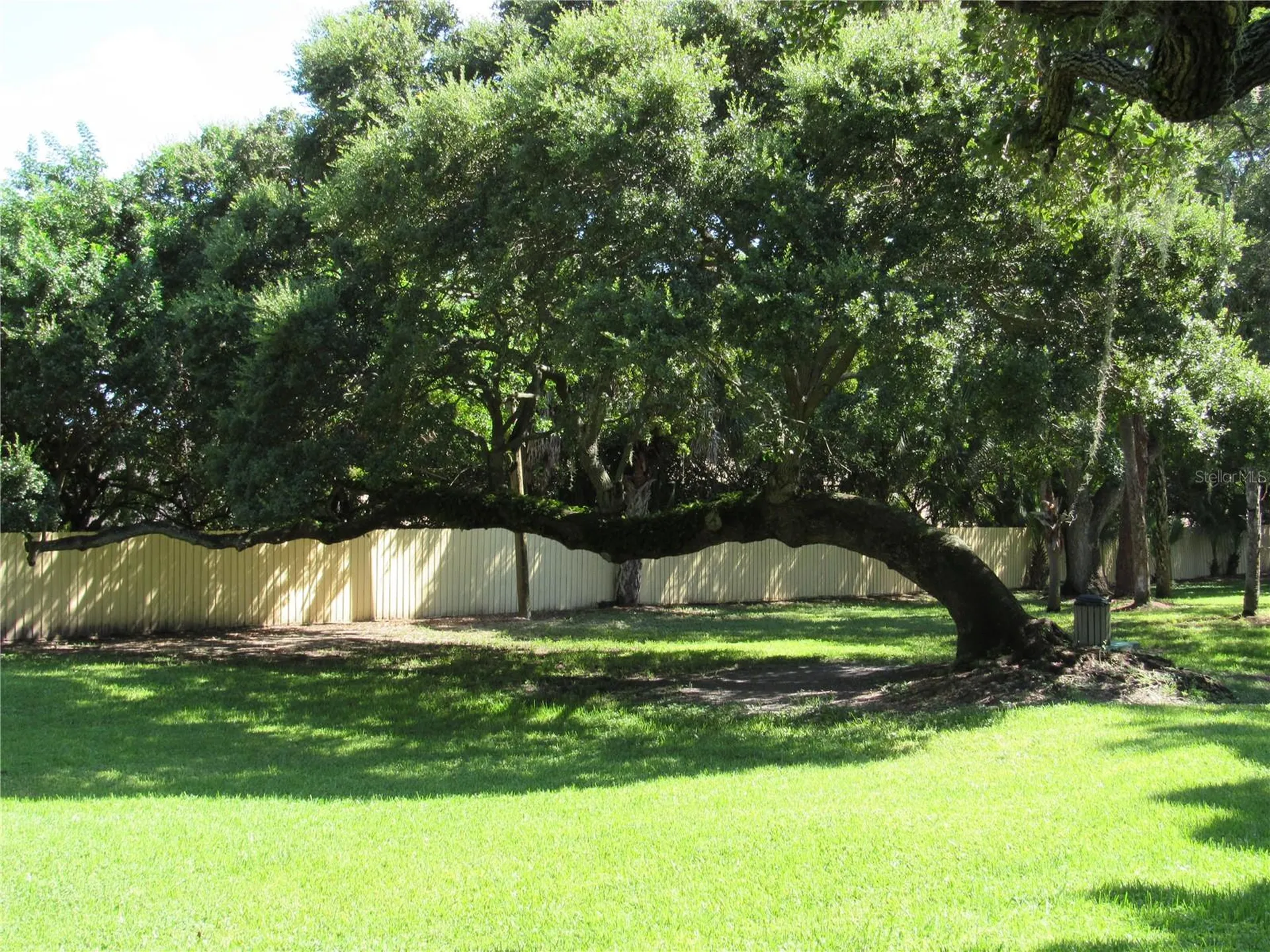 3001 58th Avenue S St Petersburg FL 33712