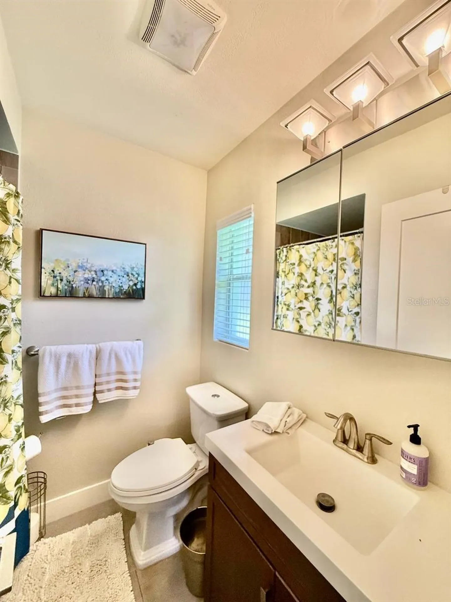 2233 Snead Avenue Dunedin FL 34698