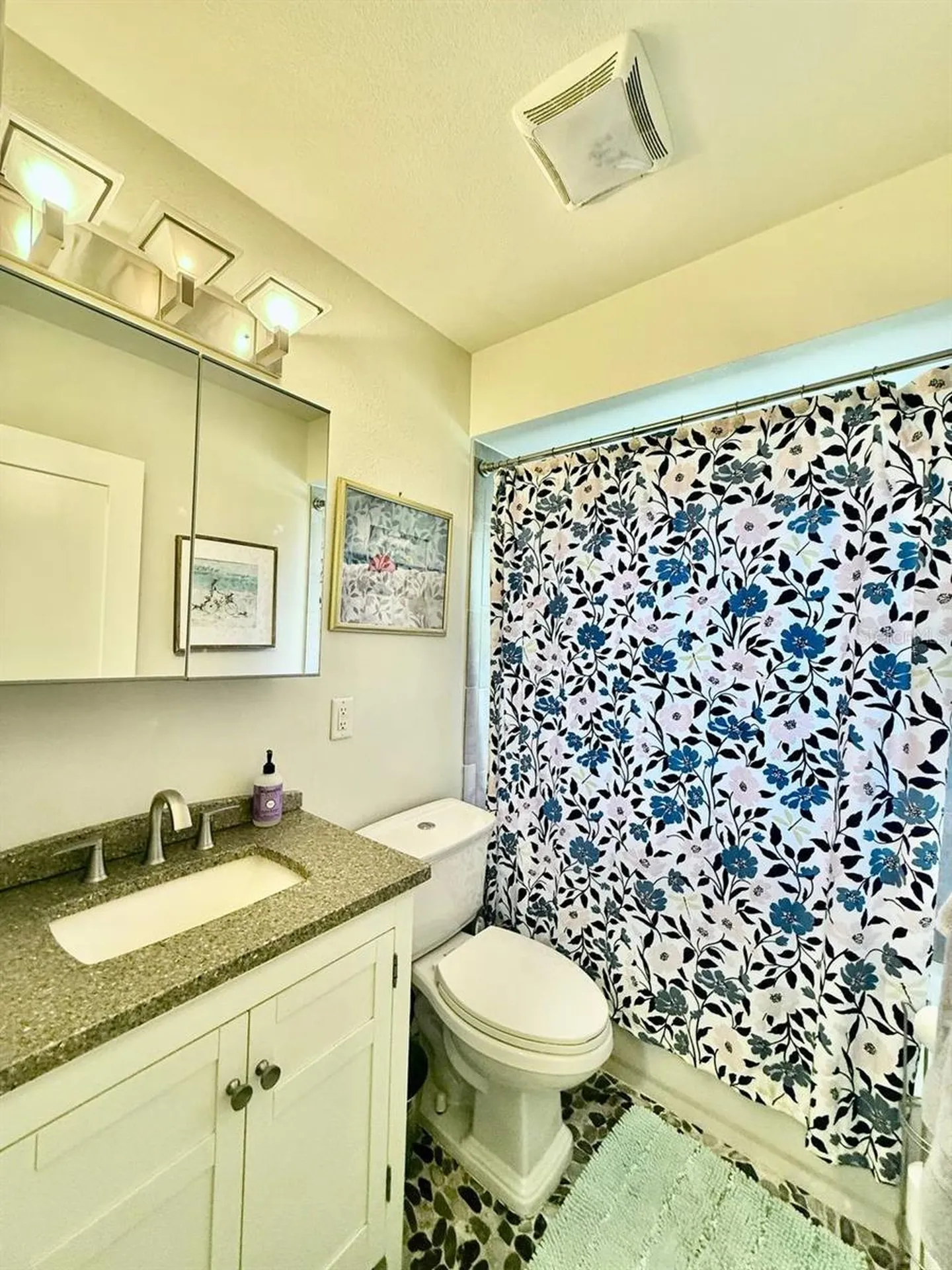 2233 Snead Avenue Dunedin FL 34698