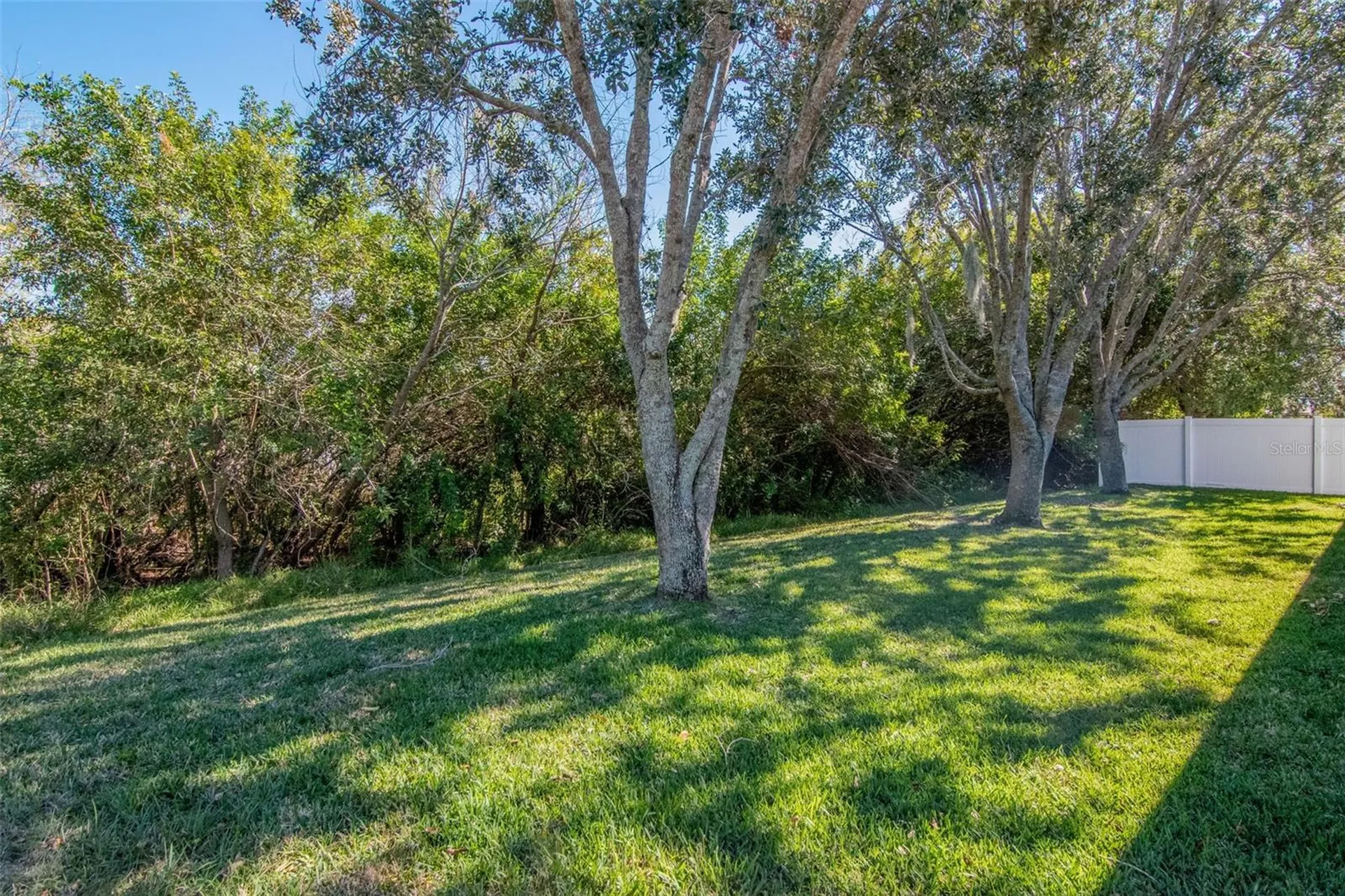13247 Graham Yarden Drive Riverview FL 33579