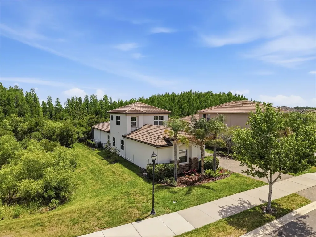 30567 Chesapeake Bay Drive Wesley Chapel FL 33543