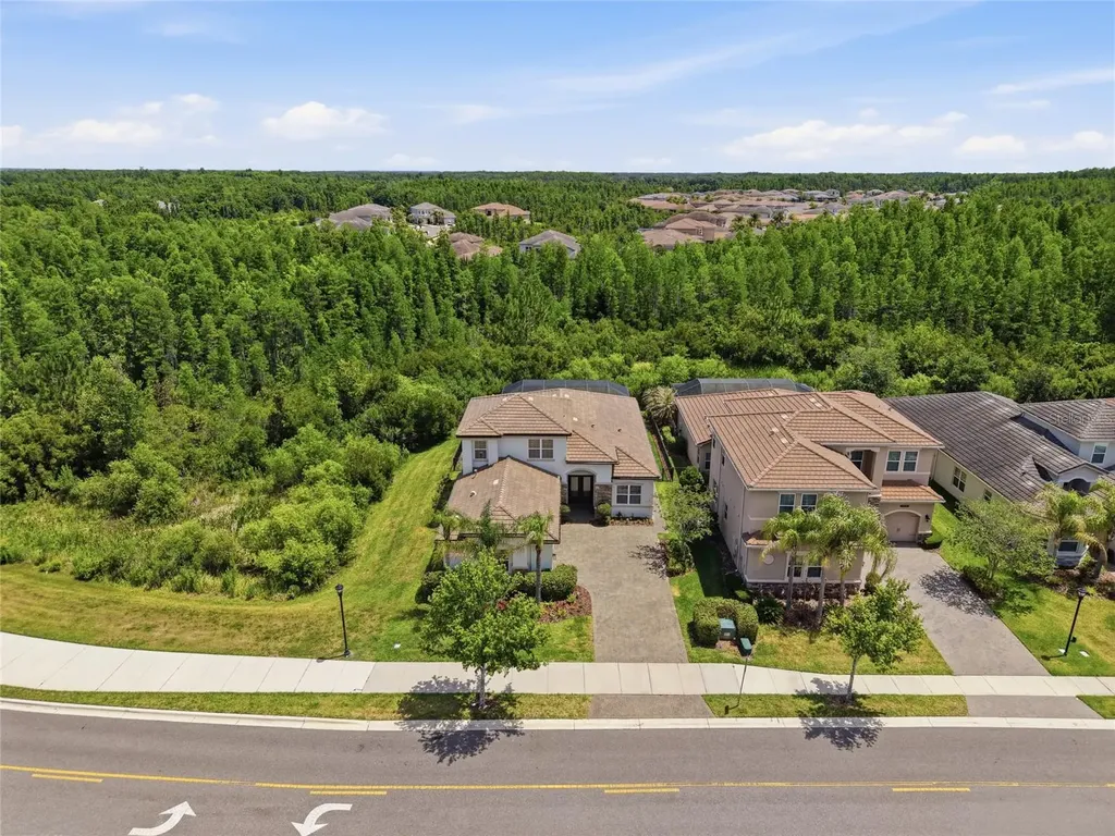 30567 Chesapeake Bay Drive Wesley Chapel FL 33543