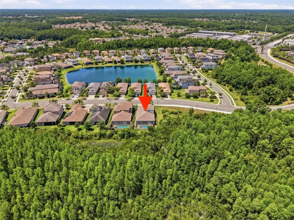 30567 Chesapeake Bay Drive Wesley Chapel FL 33543