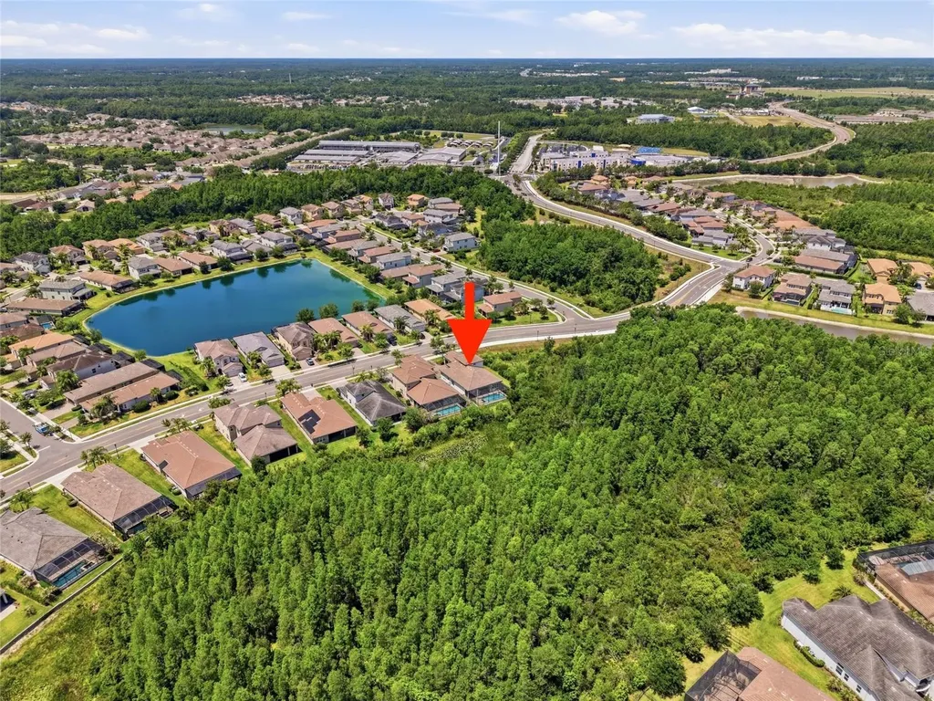 30567 Chesapeake Bay Drive Wesley Chapel FL 33543