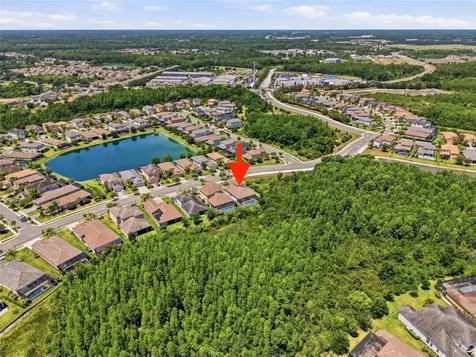 30567 Chesapeake Bay Drive Wesley Chapel FL 33543
