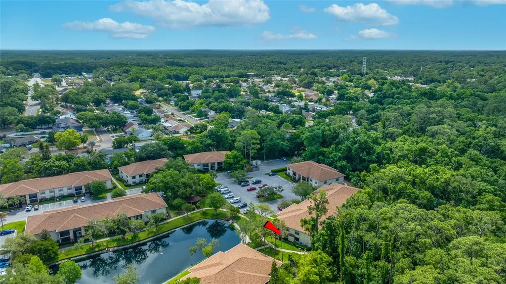 3301 Crystal Court E Palm Harbor FL 34685