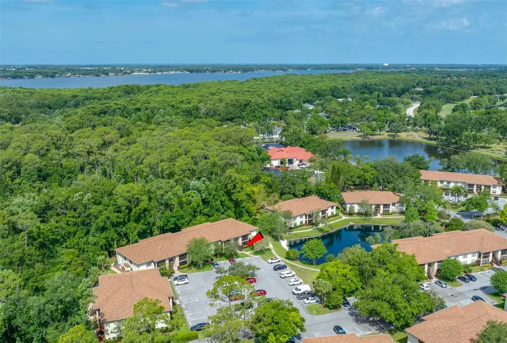 3301 Crystal Court E Palm Harbor FL 34685