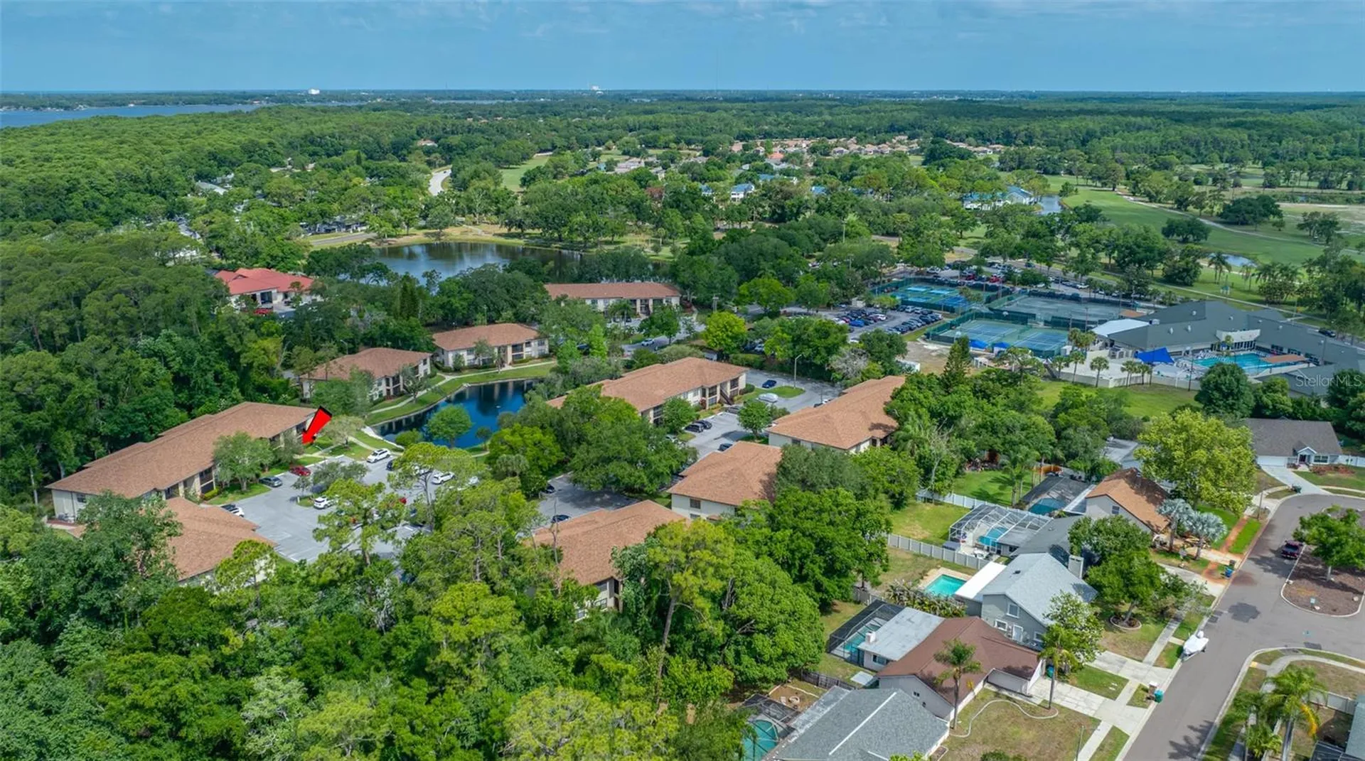 3301 Crystal Court E Palm Harbor FL 34685