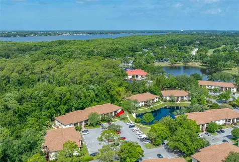 3301 Crystal Court E Palm Harbor FL 34685