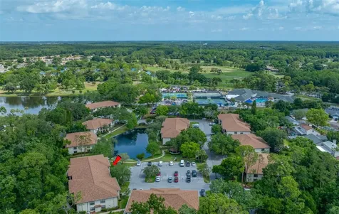 3301 Crystal Court E Palm Harbor FL 34685
