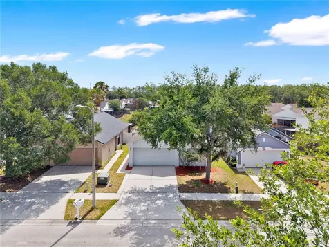 5920 Rotella Drive Wesley Chapel FL 33545