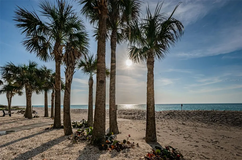 1660 Gulf Boulevard Clearwater Beach FL 33767