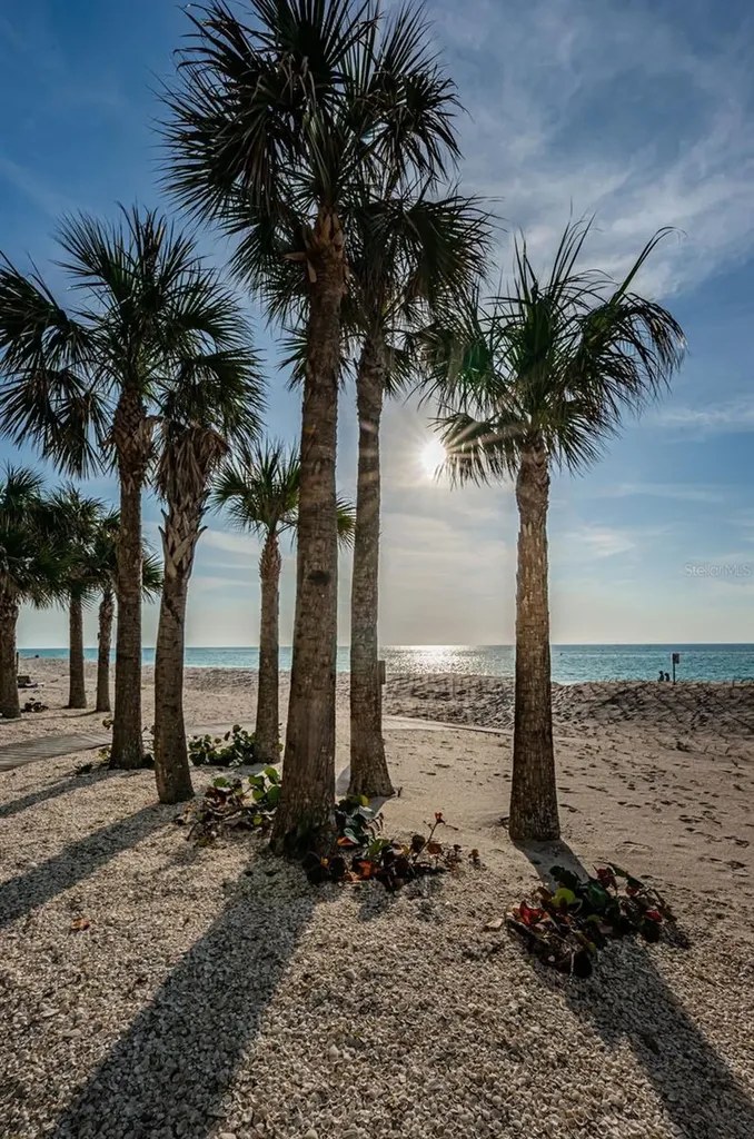 1660 Gulf Boulevard Clearwater Beach FL 33767