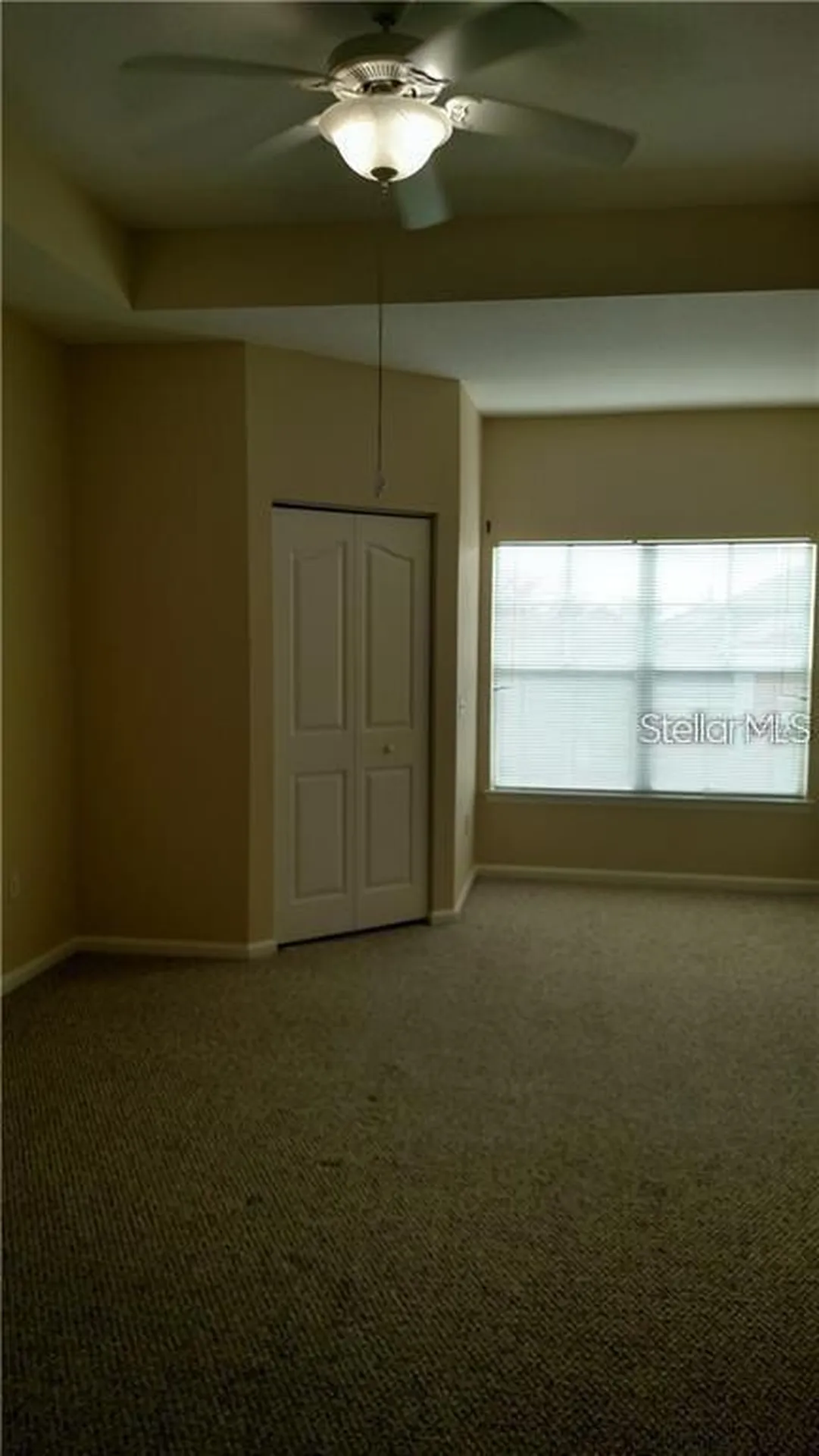 4207 S Dale Mabry Highway Tampa FL 33611