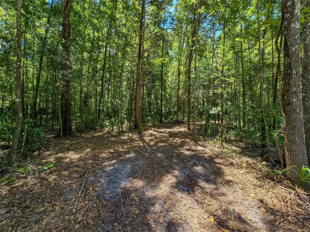 2381 N Jennifer Terrace Inverness FL 34453