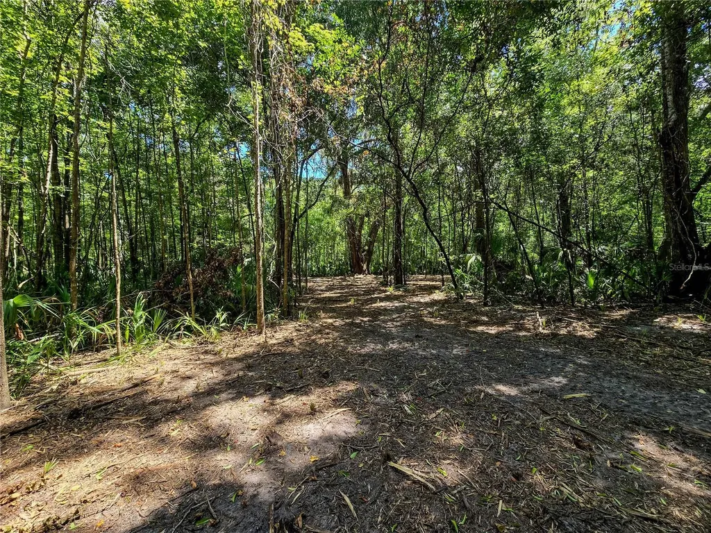 2381 N Jennifer Terrace Inverness FL 34453