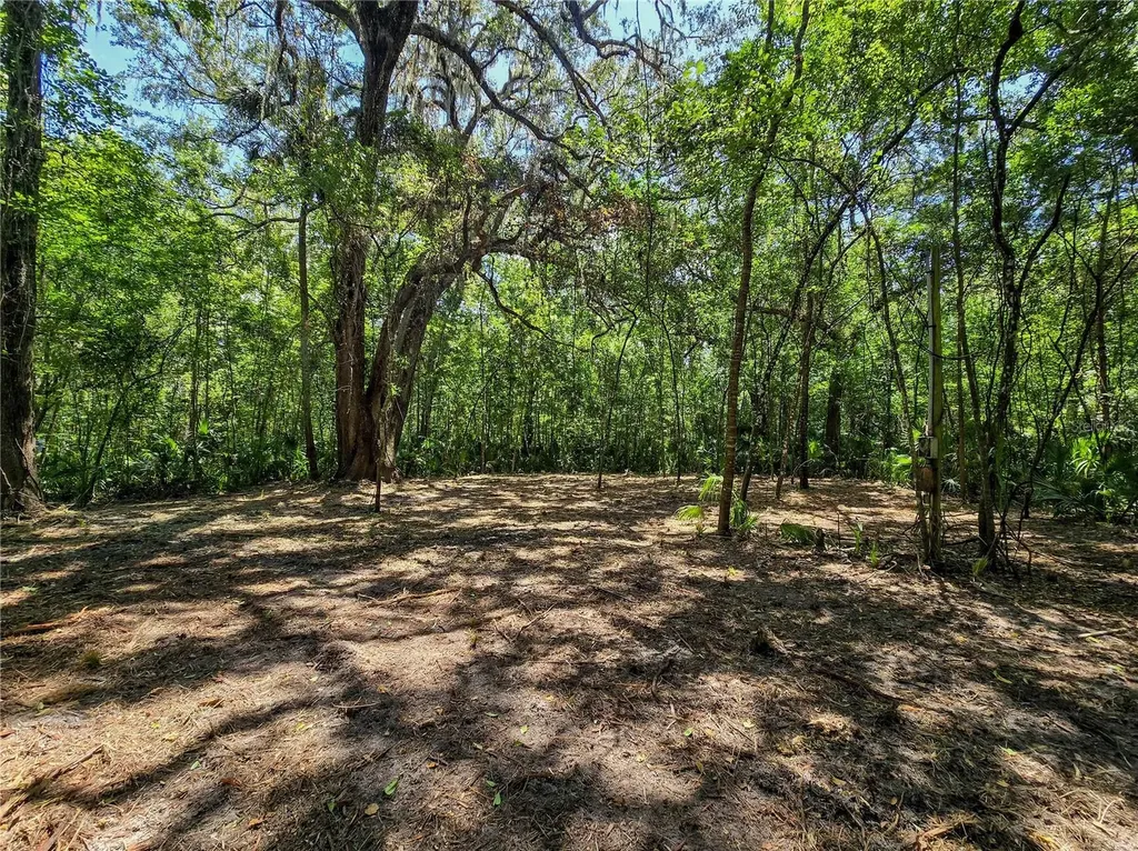 2381 N Jennifer Terrace Inverness FL 34453