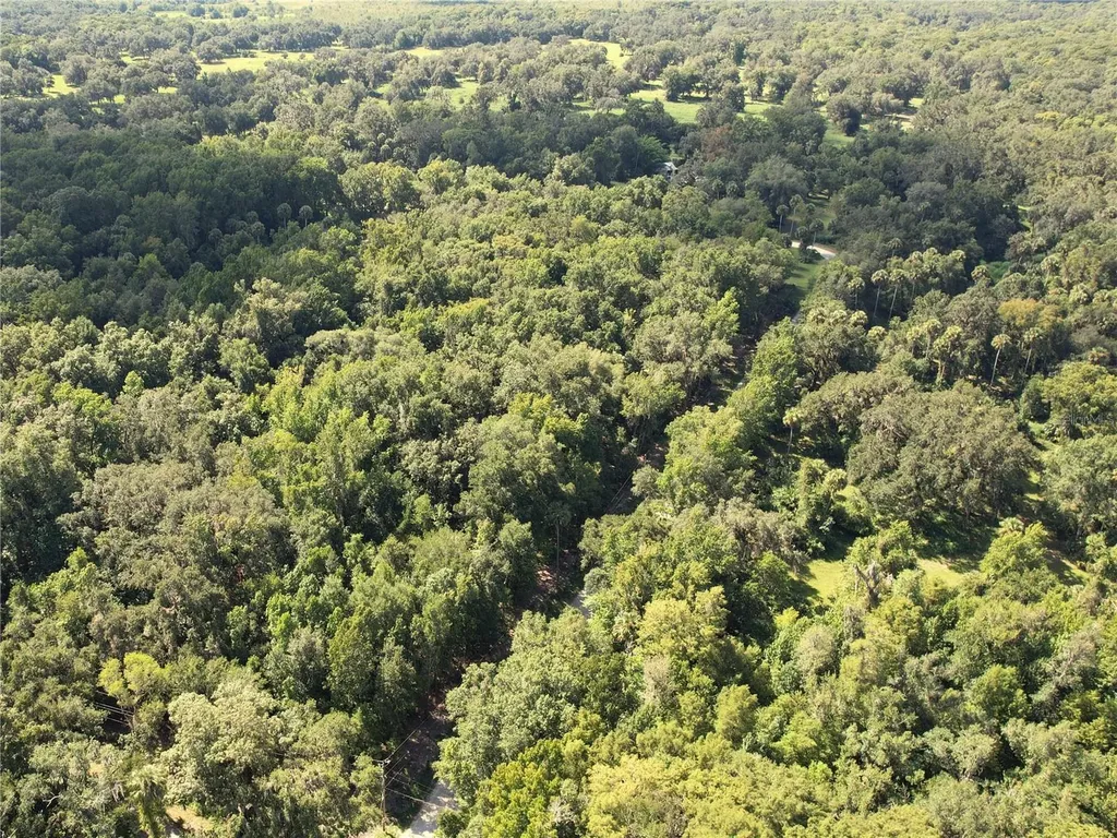 2381 N Jennifer Terrace Inverness FL 34453