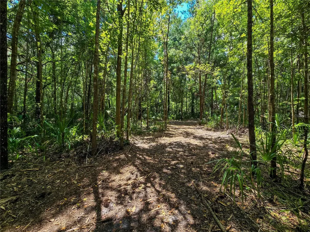 2381 N Jennifer Terrace Inverness FL 34453