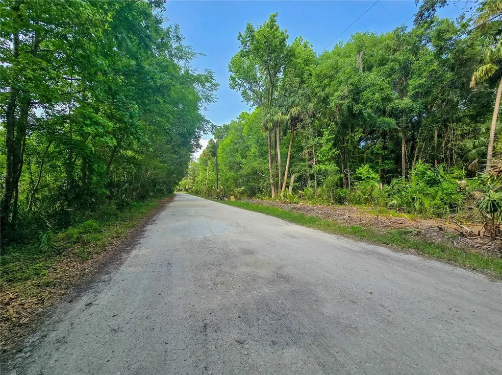 2381 N Jennifer Terrace Inverness FL 34453