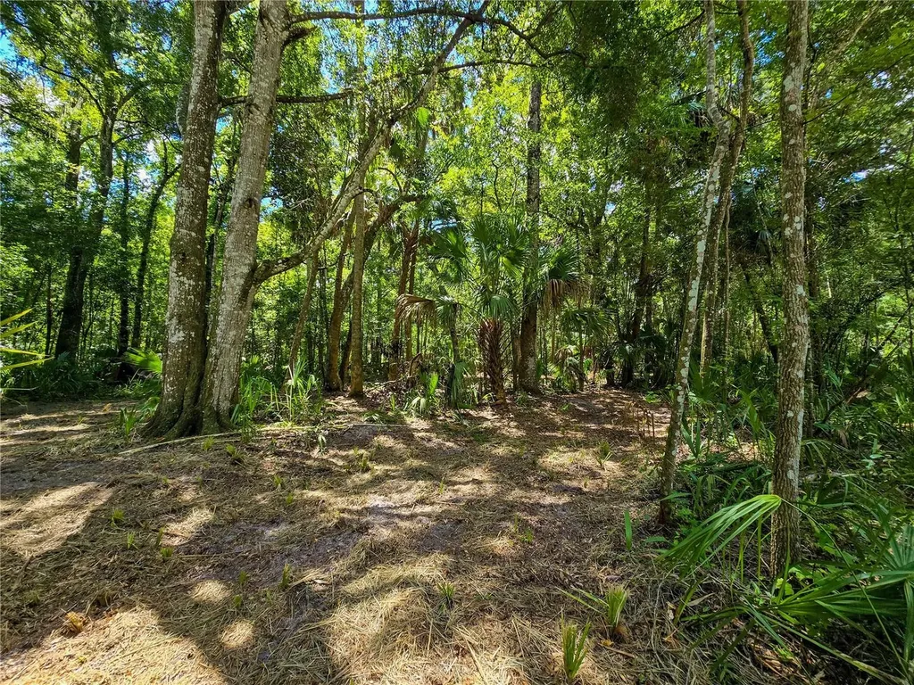 2381 N Jennifer Terrace Inverness FL 34453