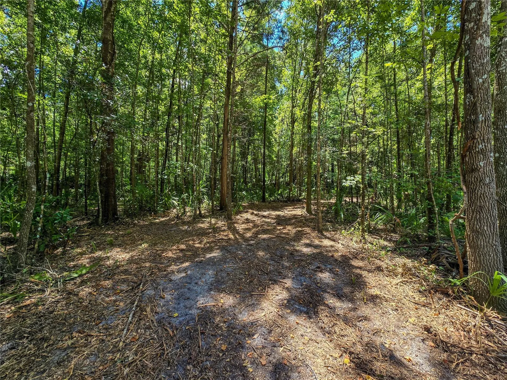 2381 N Jennifer Terrace Inverness FL 34453
