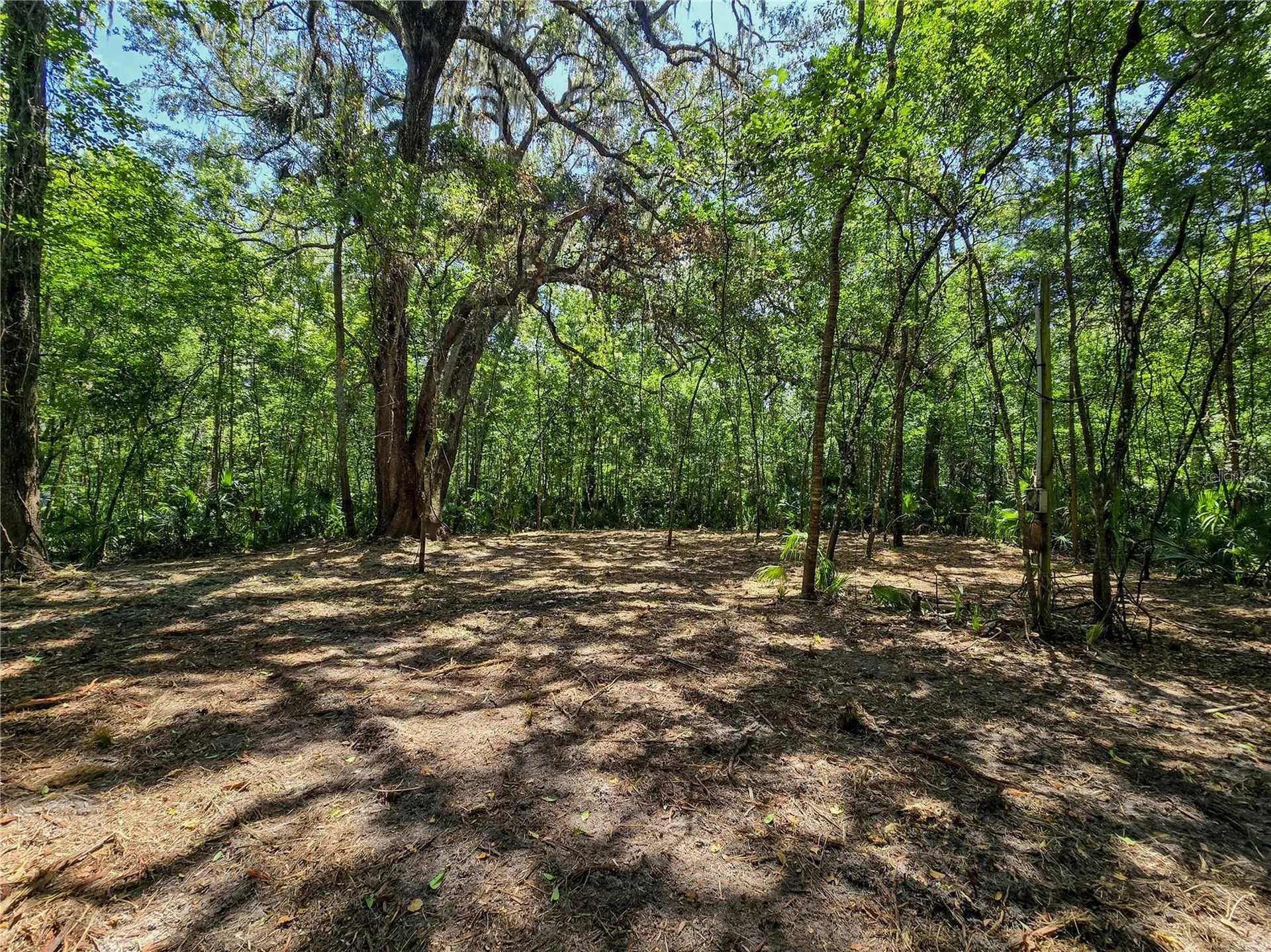 2381 N Jennifer Terrace Inverness FL 34453